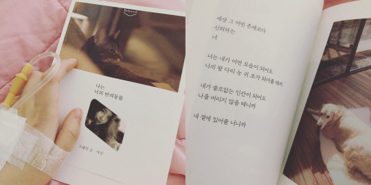 구혜선 근황 (사진=구혜선 인스타그램 캡처)